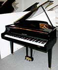 Flügel-Hyundai-G-50A-schwarz-IMGG0537-1-c