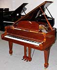 Flügel-Hyundai-G-80A-Nuss-pol-1-c