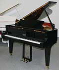 Flügel-Schimmel-174-T-schwarz-224260-1-c