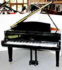 Flügel-Seiler-170-schwarz-116819-1-c