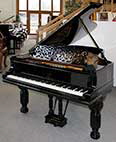 Flügel-Steinway-B-211-schwarz-51629-1-c